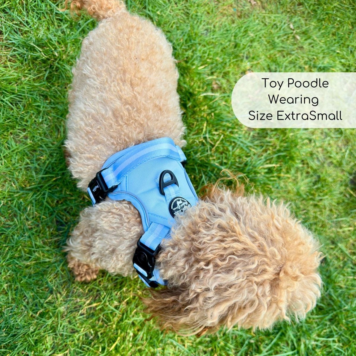 PupClub Couture Rugged Rover Dog Harness Pastel Blue