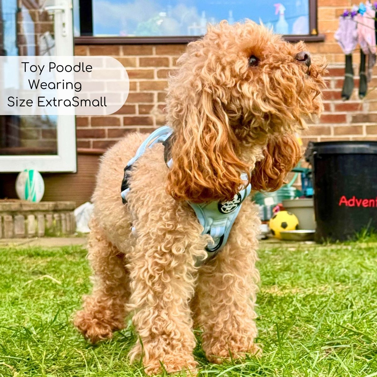 PupClub Couture Rugged Rover Dog Harness Pastel Blue