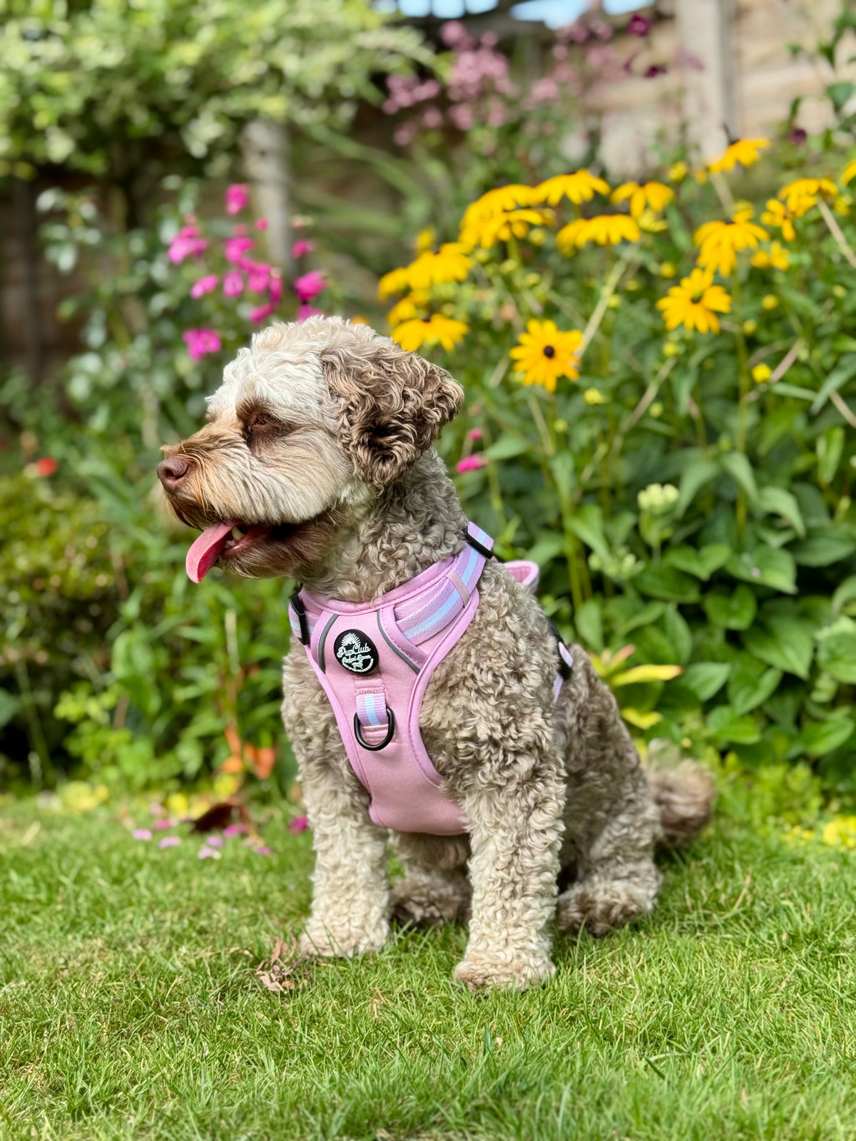PupClub Couture Rugged Rover Dog Harness - Pastel Pink