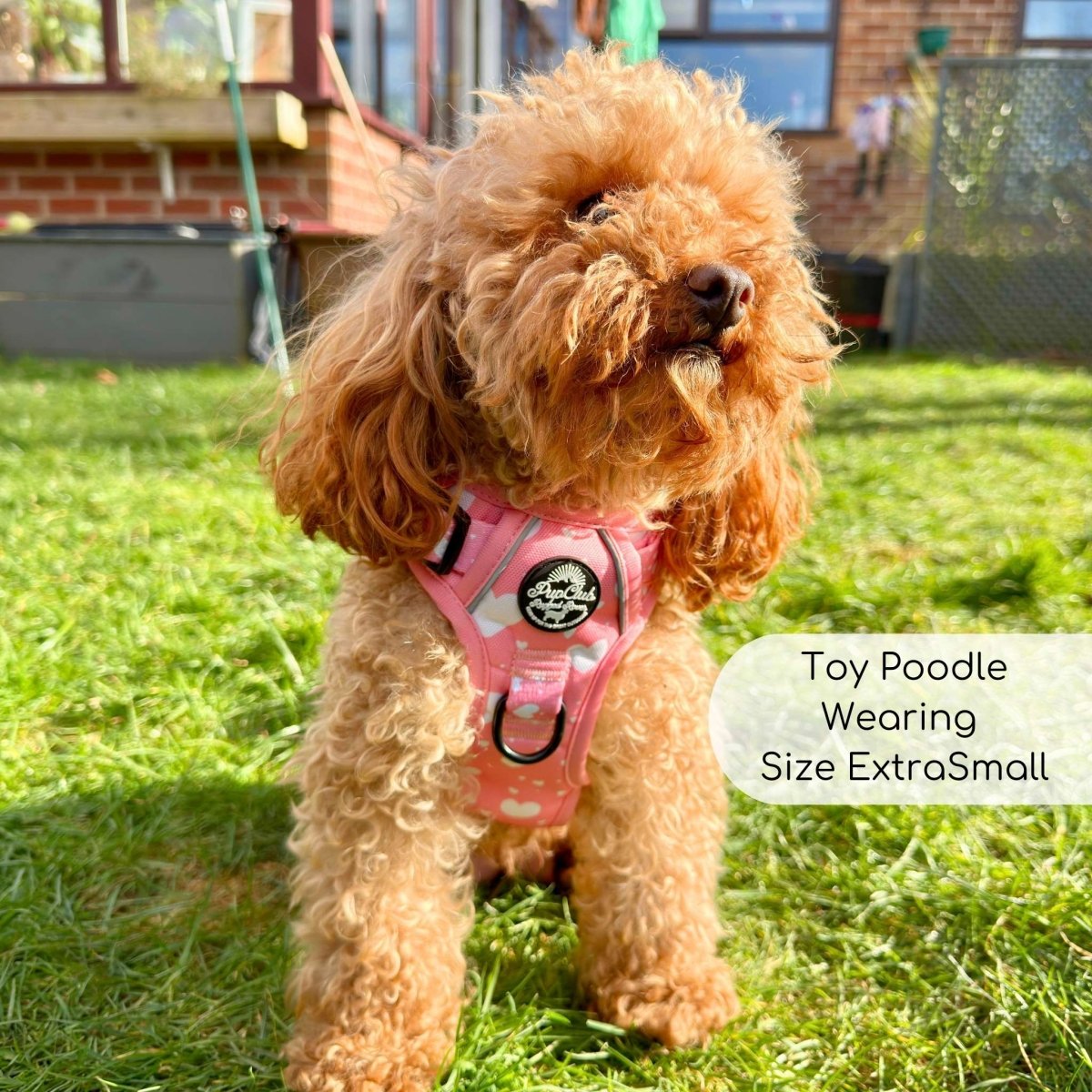 PupClub Couture Rugged Rover Harness - Peachy Hearts