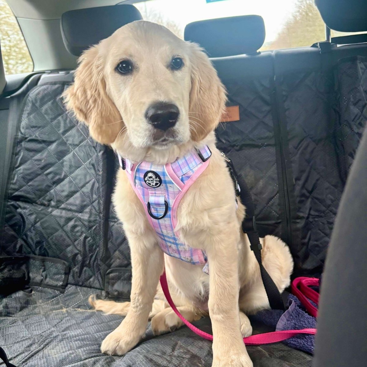 PupClub Couture Rugged Rover Harness - Pink Tartan