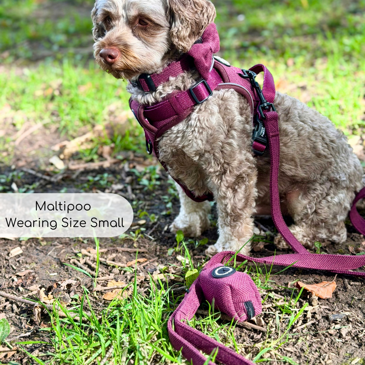 PupClub Couture Poo Bag Holder - Berry Tweed