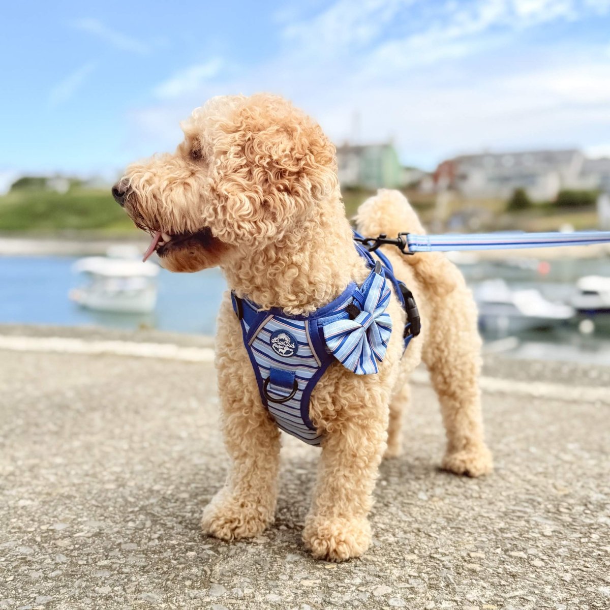 PupClub Couture Dog Sailor Bow - Sea Breeze Stripes