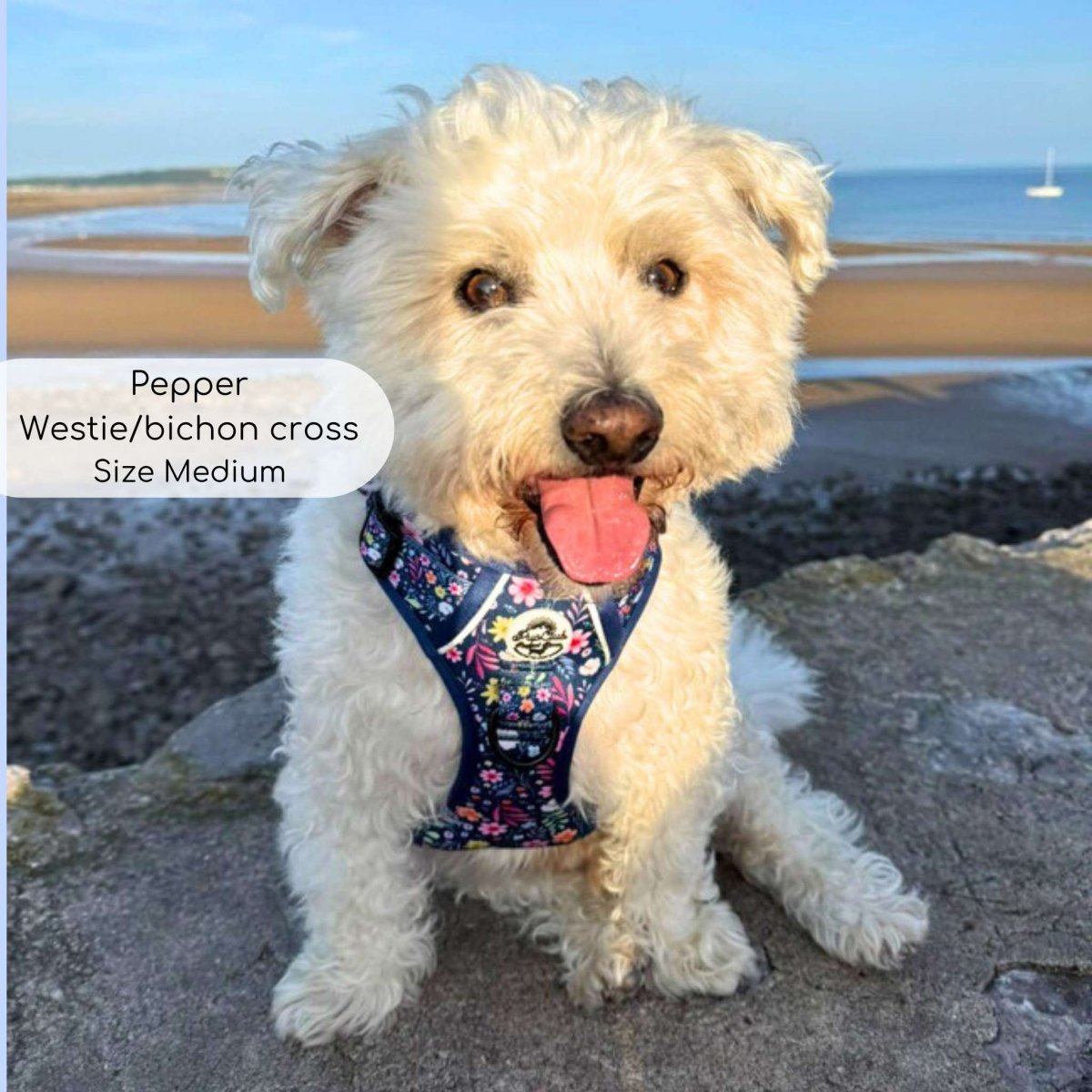 PupClub Couture Rugged Rover Harness - Summer Meadow