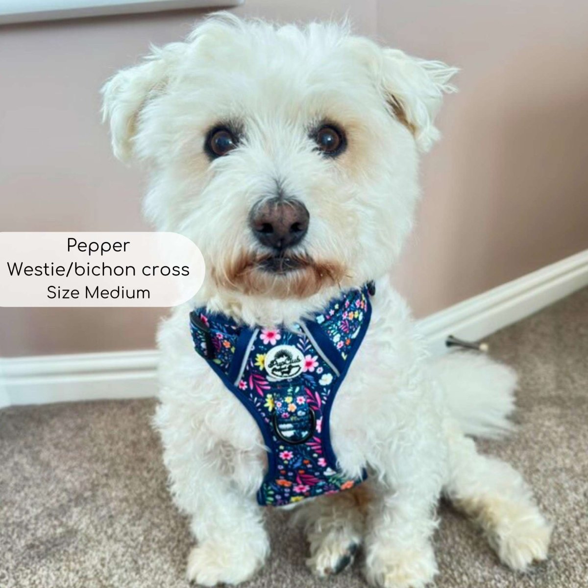 PupClub Couture Rugged Rover Harness - Summer Meadow