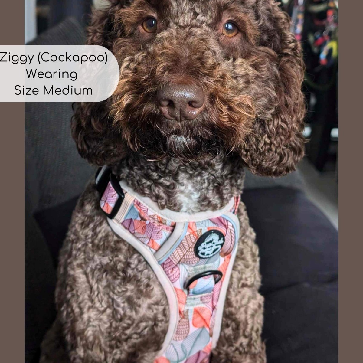 PupClub Couture Rugged Rover Dog Harness - Autumn Breeze