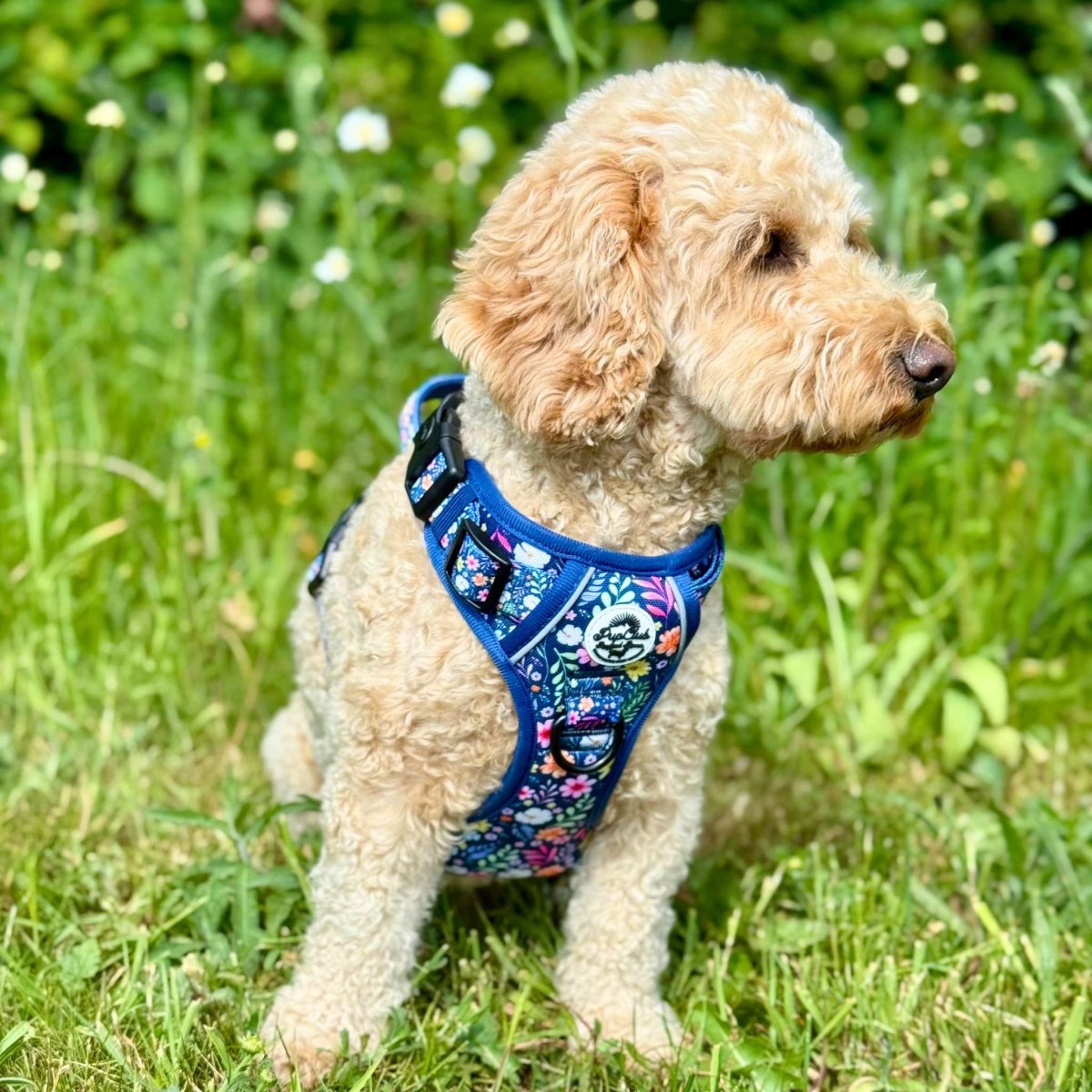 PupClub Couture Rugged Rover Harness - Summer Meadow