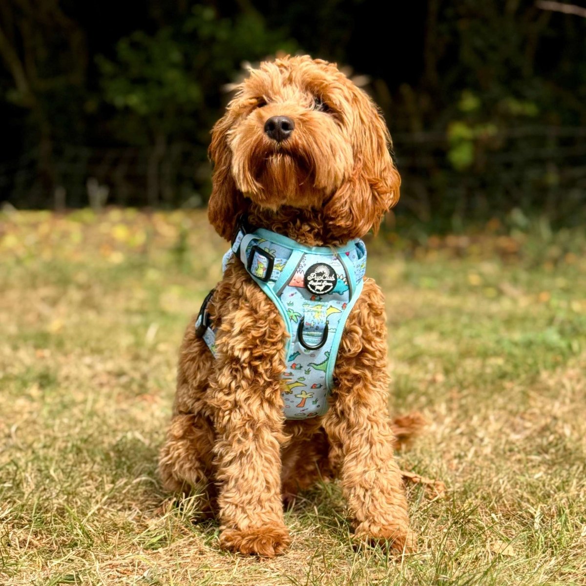 PupClub Couture Rugged Rover Harness - Jurassic Party