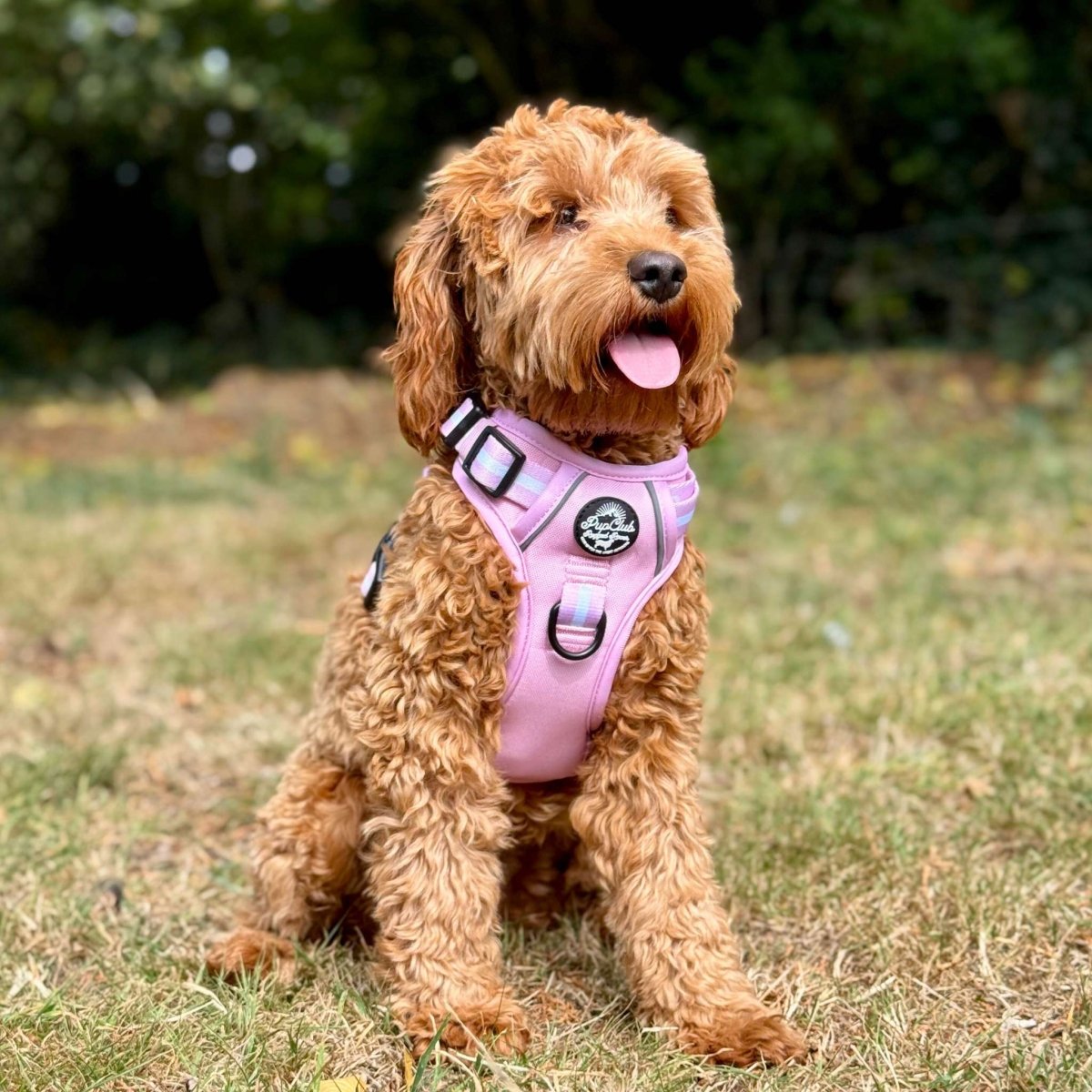 PupClub Couture Rugged Rover Dog Harness - Pastel Pink