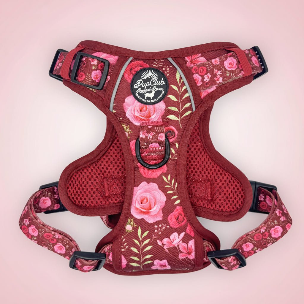 PupClub Couture Rugged Rover Harness - Burgundy Bloom