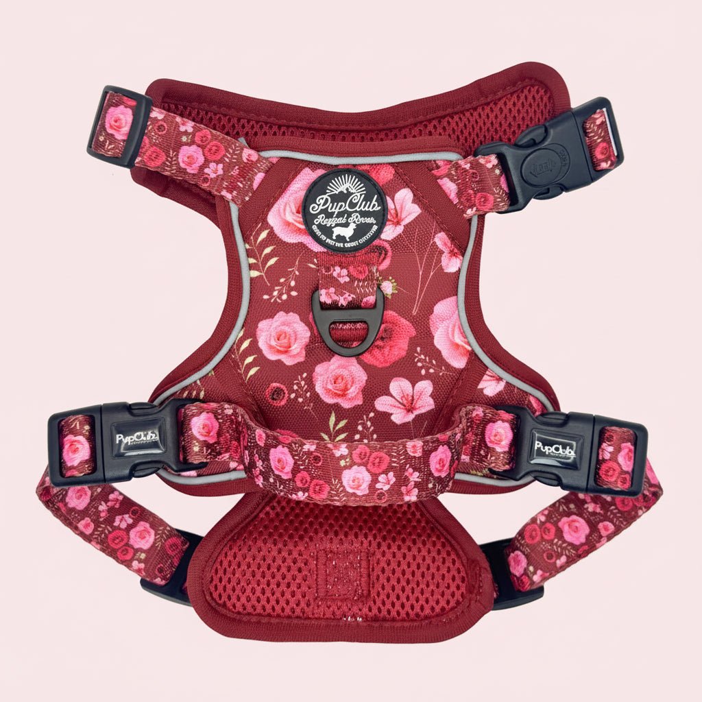 PupClub Couture Rugged Rover Harness - Burgundy Bloom