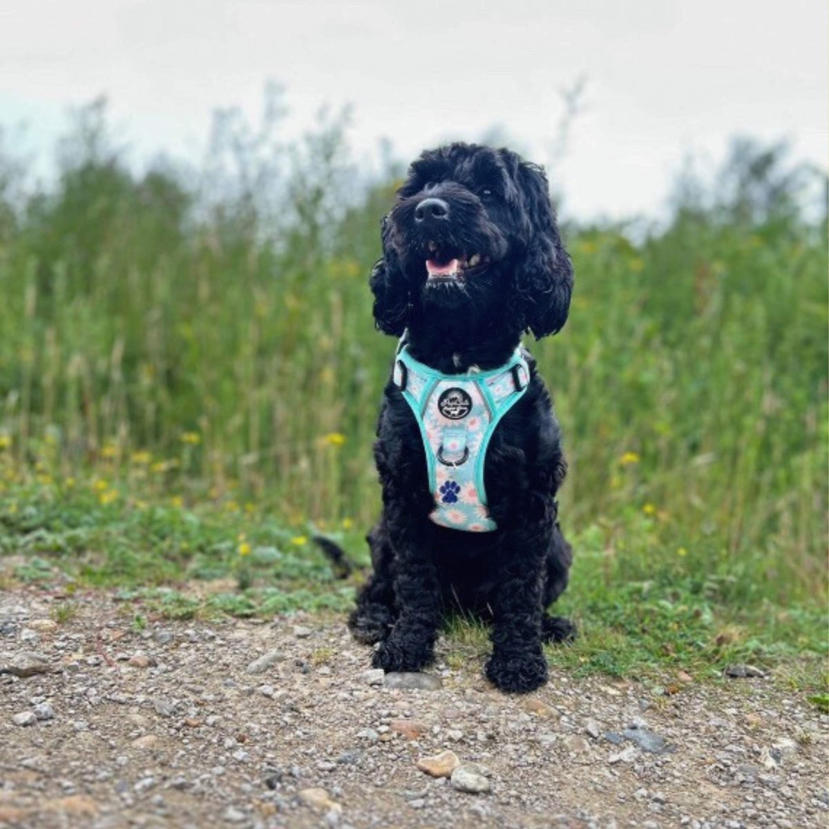 PupClub Couture Rugged Rover Harness - Pastel Daisy