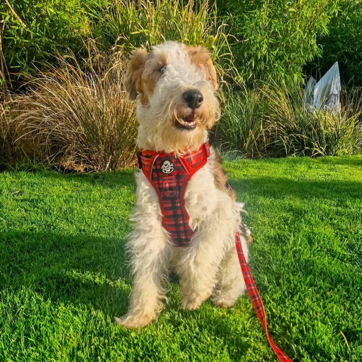PupClub Couture Dog Lead - Red Tartan