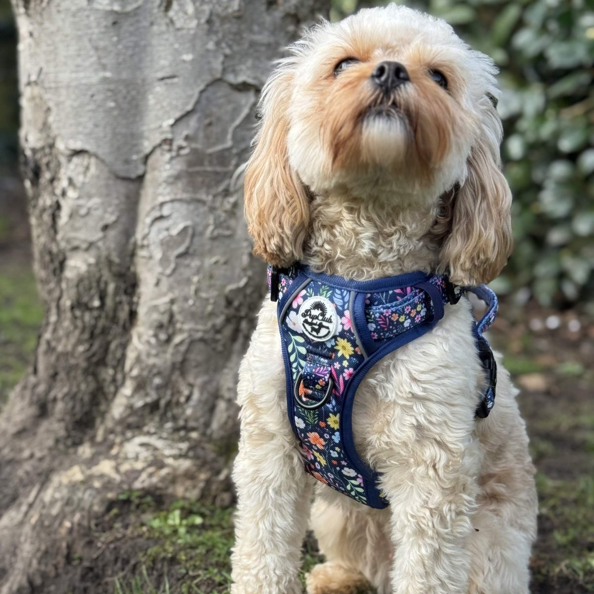 PupClub Couture Rugged Rover Harness - Summer Meadow