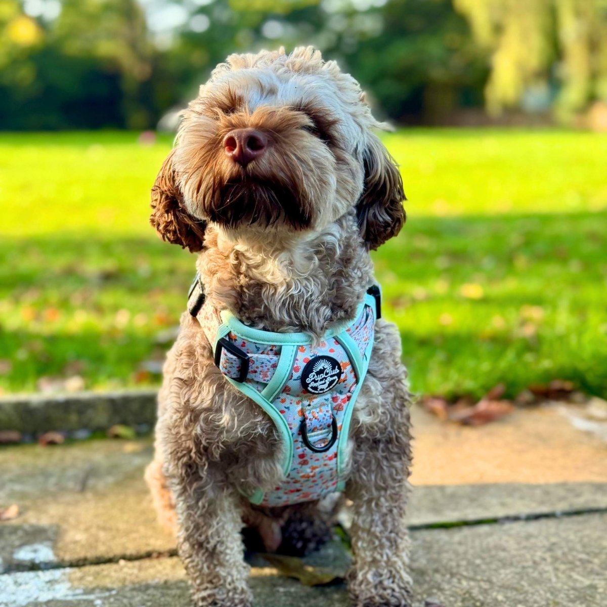 PupClub Couture Rugged Rover Harness - Woodland Friends