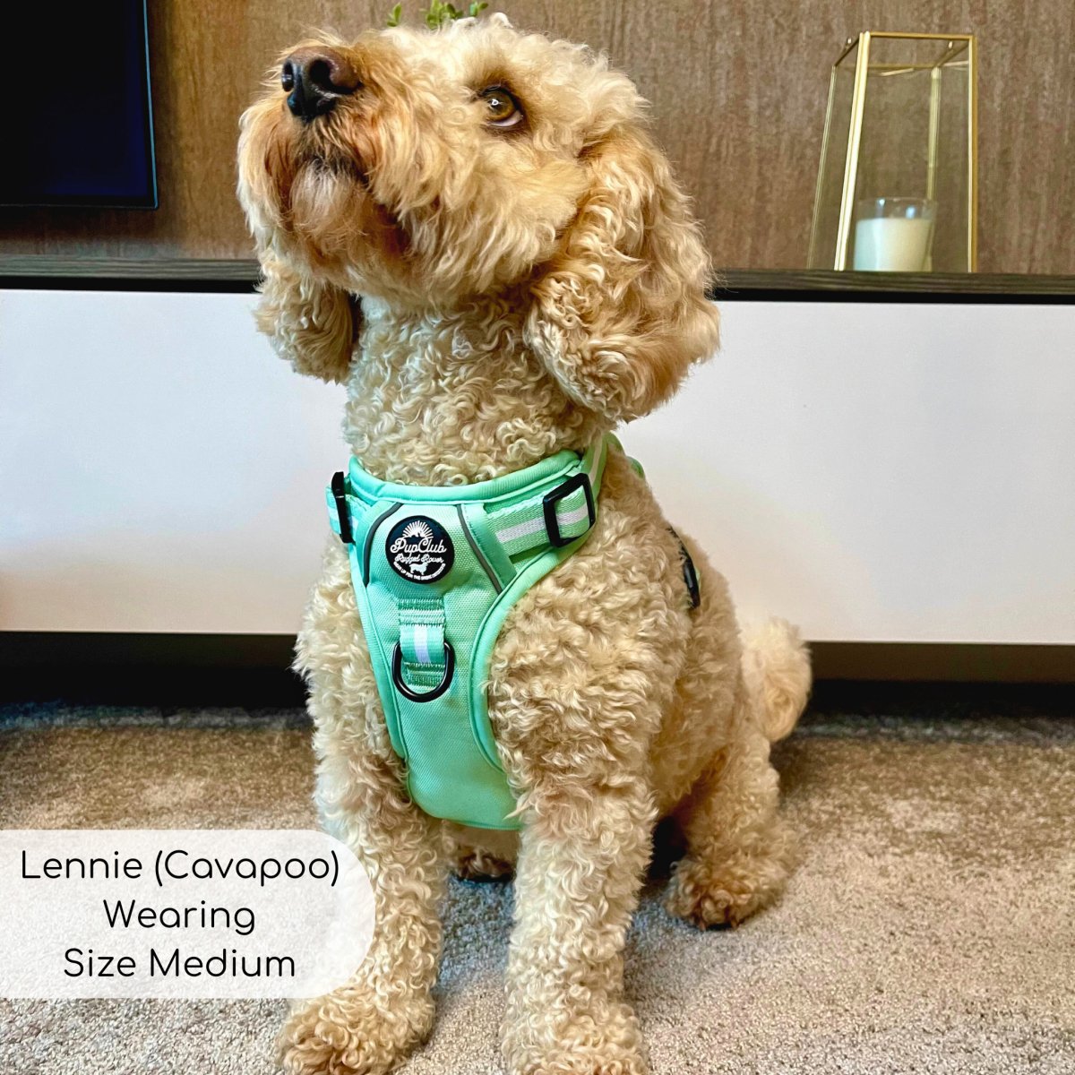 PupClub Couture Rugged Rover Dog Harness Pastel Mint Green