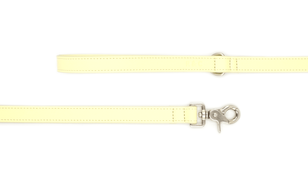 Ralph & Co Lignify Dog Lead - Yellow