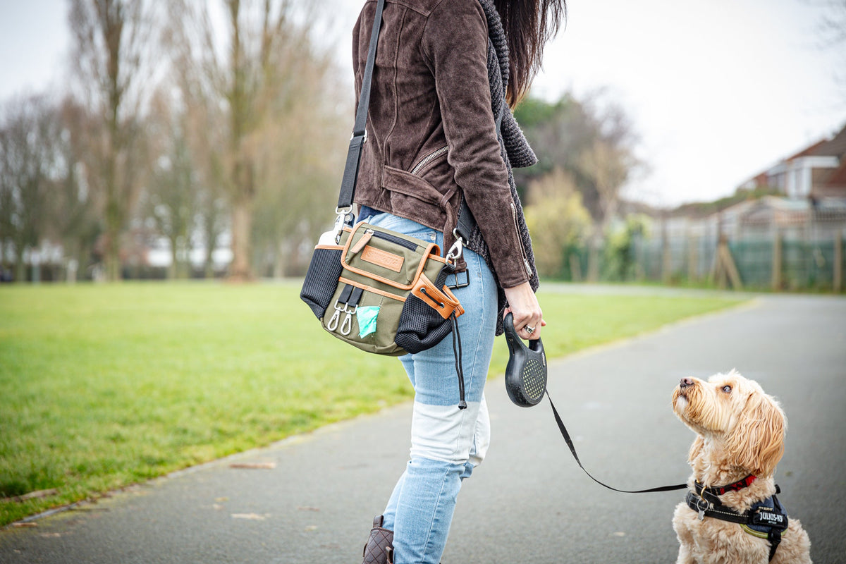 Winter Sale — everyday life with pets