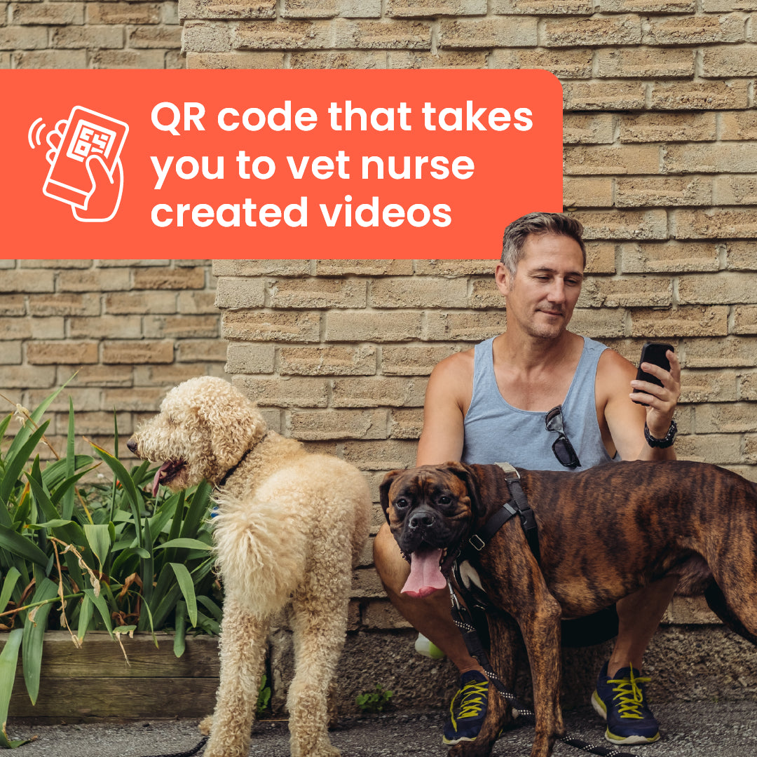 Poorly Paws dog first aid video guidance