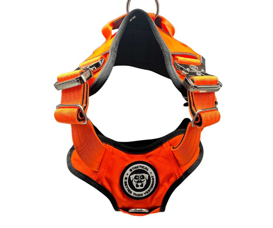BTactical No Pull Ultimate Harness - Citrus Orange