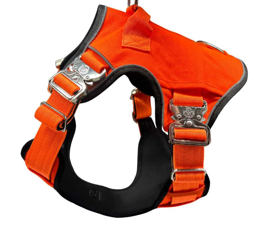 BTactical No Pull Ultimate Harness - Citrus Orange