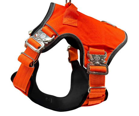 BTactical No Pull Ultimate Harness - Citrus Orange