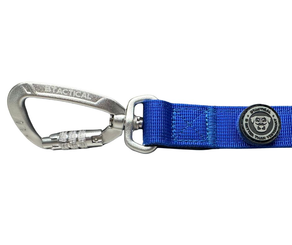 BTactical Extra-Strong Carabiner Clip Nylon Dog Lead - Royal Blue