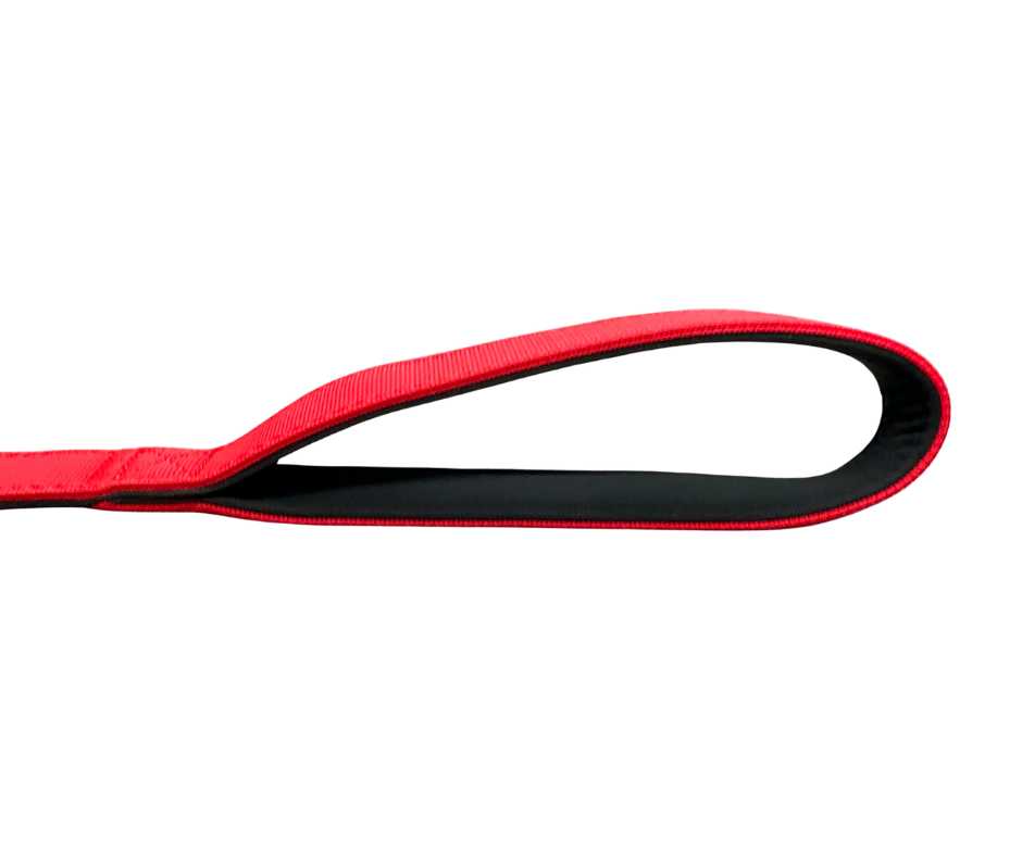 BTactical Extra-Strong Nylon Carabiner Clip Dog Lead - Citrus Red