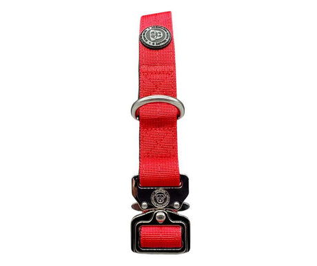 BTactical 2.5cm Nylon Dog Collar - Citrus Red