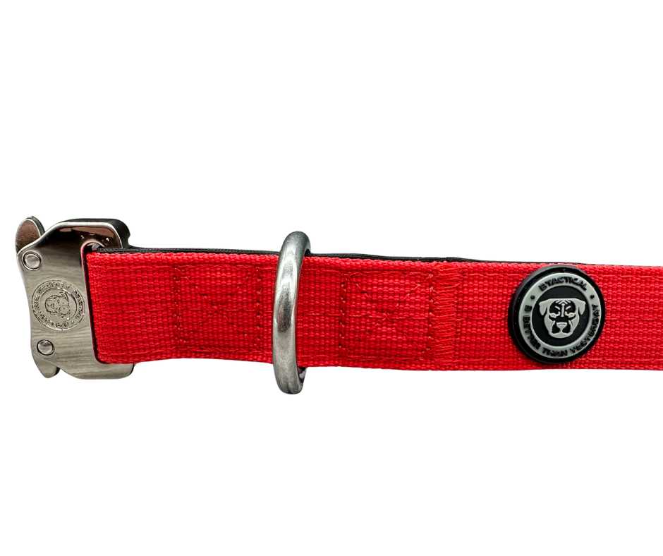 BTactical 2.5cm Nylon Dog Collar - Citrus Red