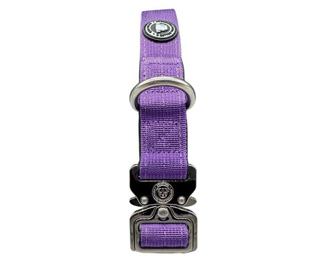 BTactical 2.5cm Nylon Dog Collar - Lavender Purple