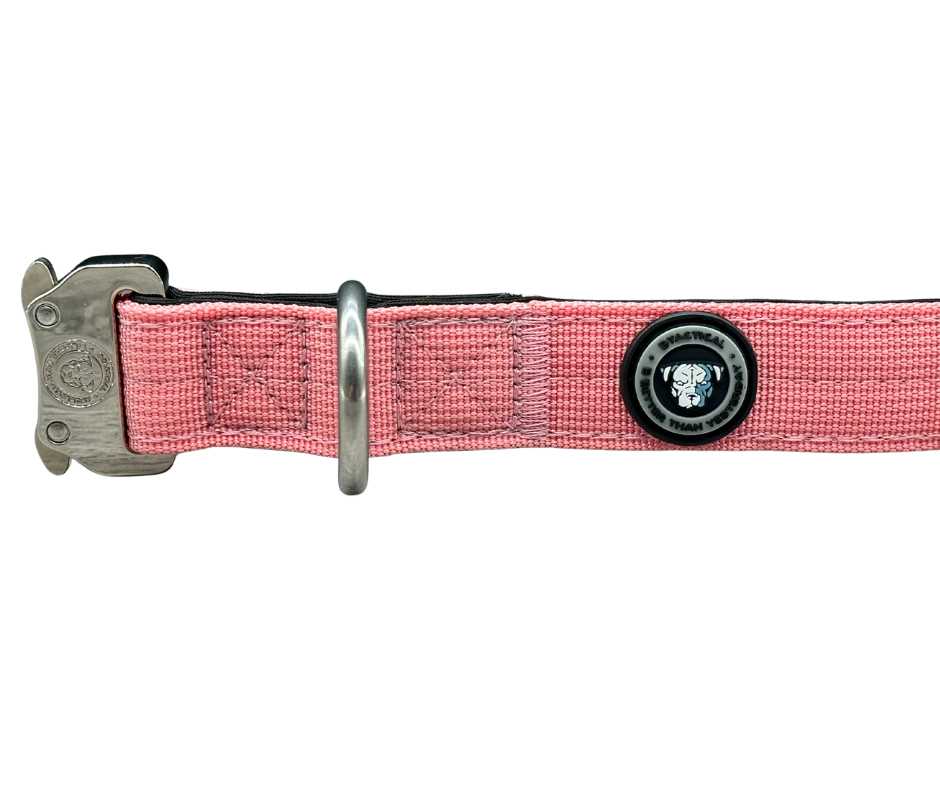 BTactical 2.5cm Nylon Dog Collar - Pretty Pink
