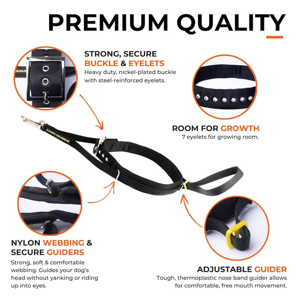 The Canny Company Colossus No-Pull Dog Headcollar