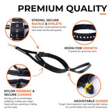 The Canny Company Colossus No-Pull Dog Headcollar