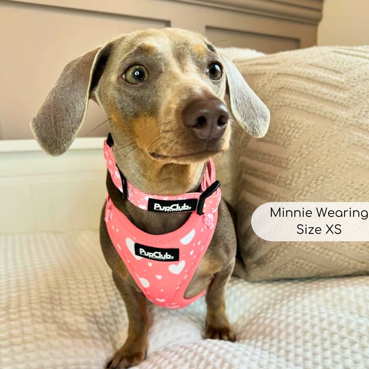PupClub Couture Adjustable Harness - Peachy Hearts