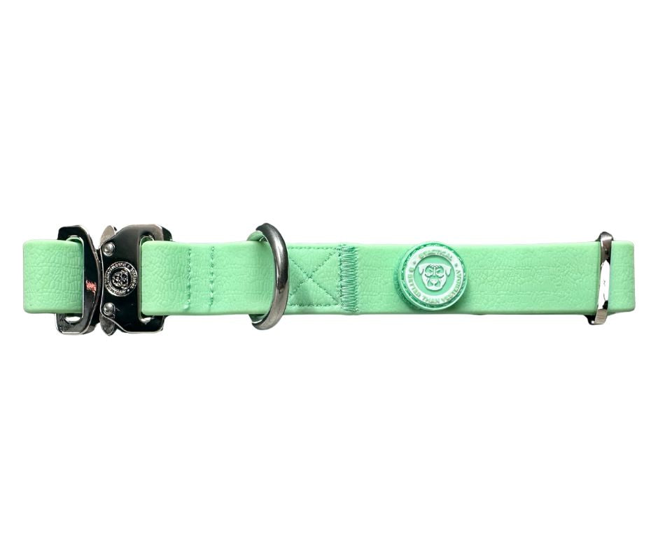 BTactical 2.5cm PVC Dog Collar - Pastel Green