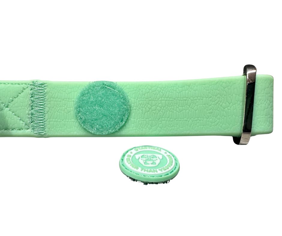 BTactical 2.5cm PVC Dog Collar - Pastel Green