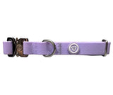 BTactical Puppy PVC Dog Collar - Pastel Purple