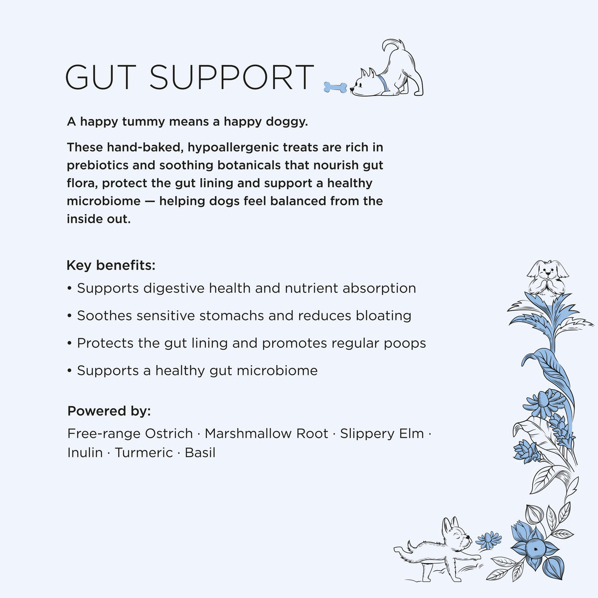 Gizzls Itchy Skin & Tummy Bundle Dog Supplement Treats