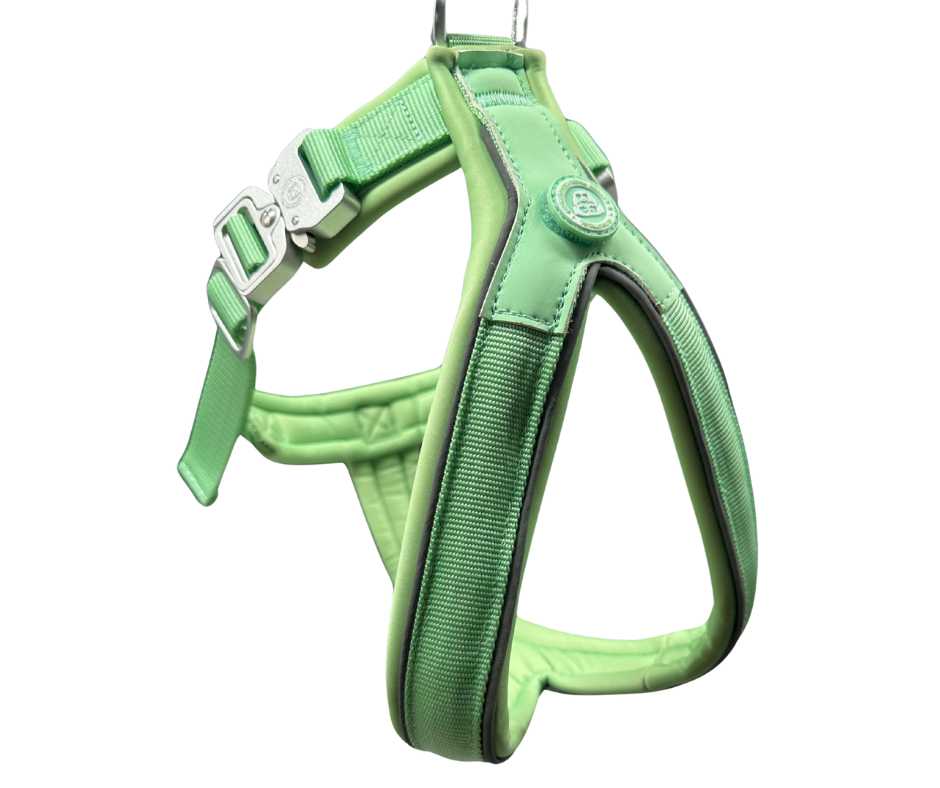 BTactical 2.5cm Slip-On Dog Harness - Pastel Green