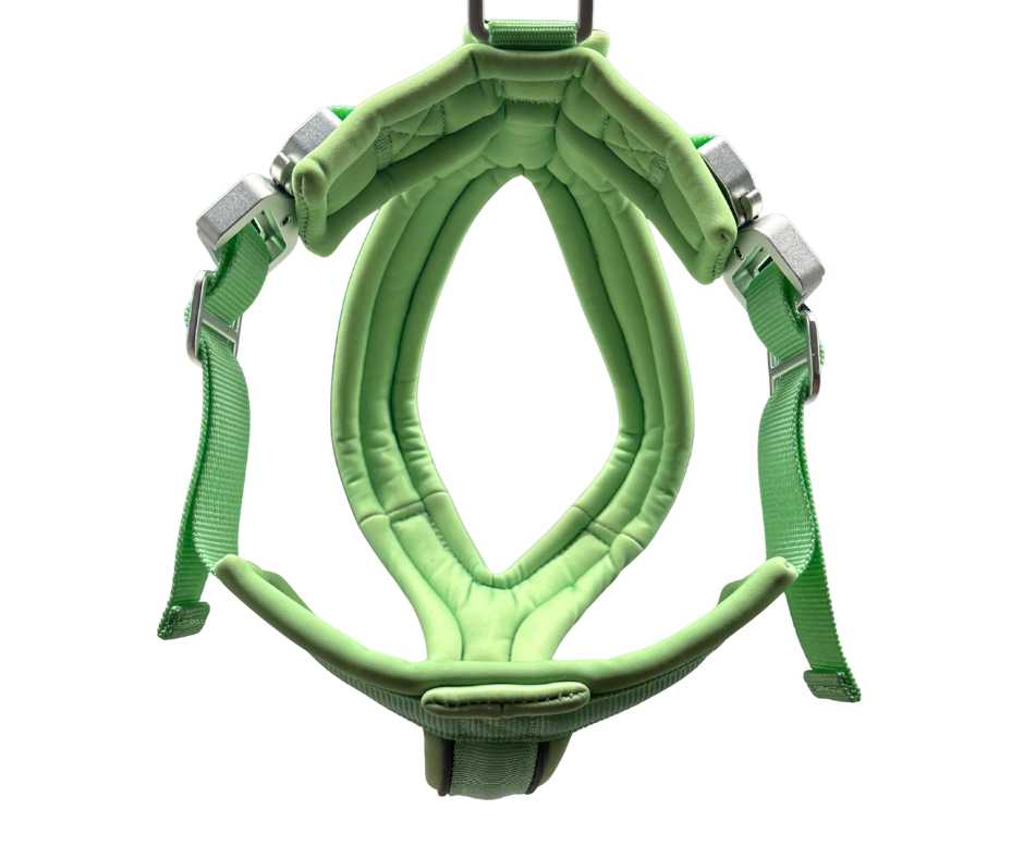 BTactical 2.5cm Slip-On Dog Harness - Pastel Green