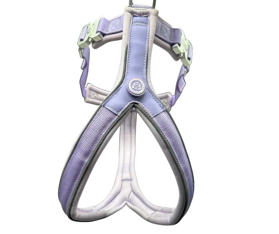 BTactical 2.5cm Slip-On Dog Harness - Pastel Purple