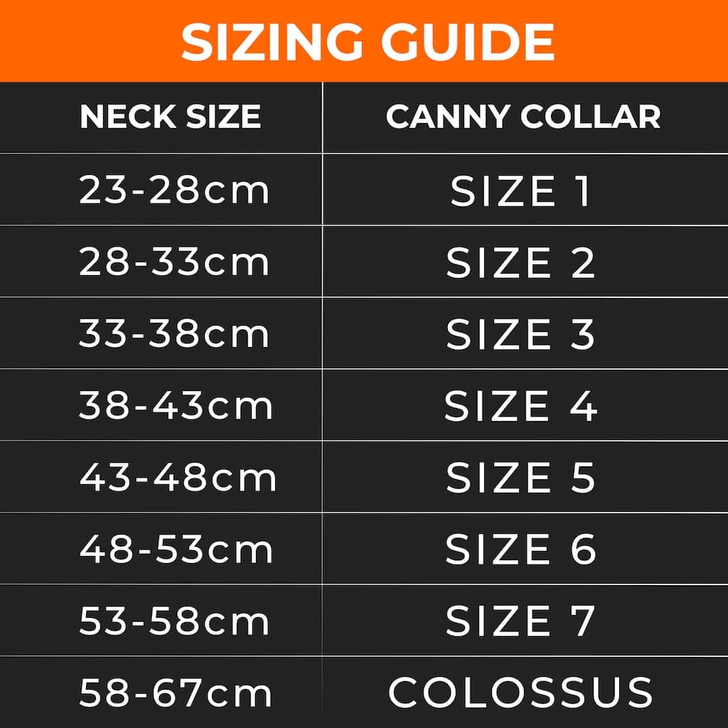 The Canny Company Colossus No-Pull Dog Headcollar