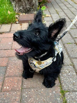 PupClub Couture Rugged Rover Bee-utiful Summer Dog Harness