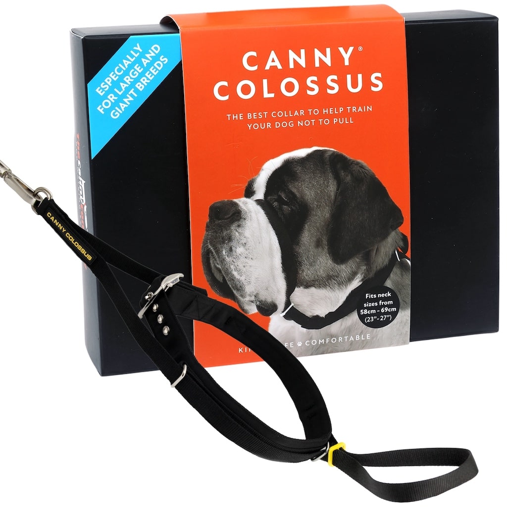 The Canny Company Colossus No-Pull Dog Headcollar