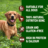 Koala Pets Jumbo Ostrich Bone Dog Chew