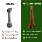 Metatarsus Ostrich Bones