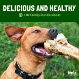 Koala Pets Jumbo Ostrich Bone Dog Chew