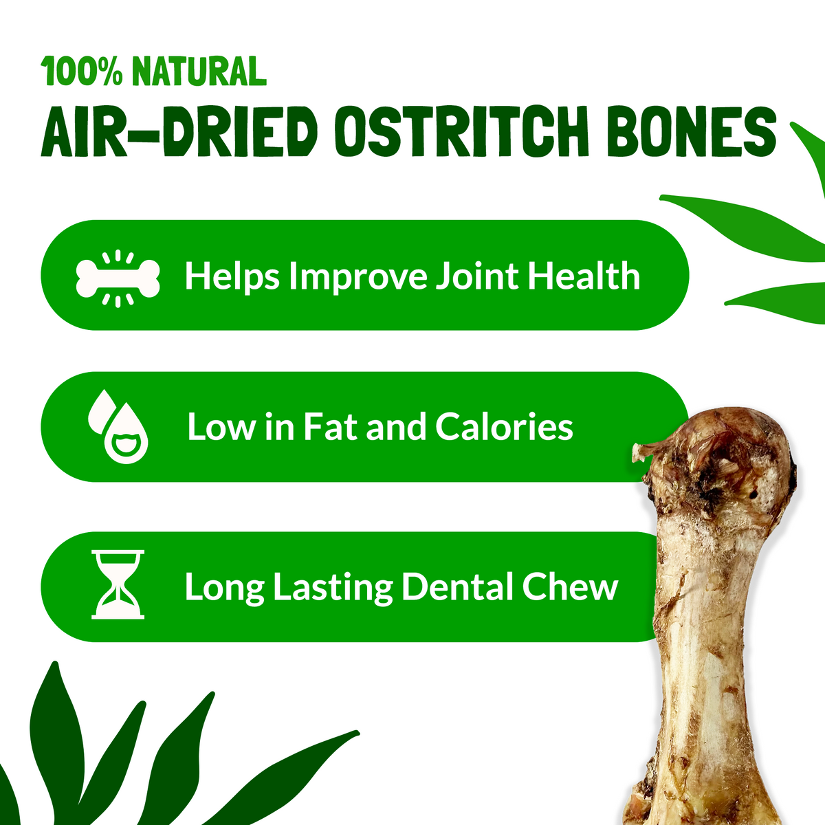 Koala Pets Jumbo Ostrich Bone Dog Chew