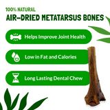 Metatarsus Ostrich Bones